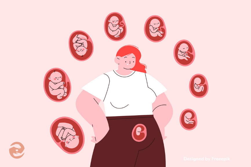 How the Fetus Grows and Develops During Pregnancy How the Fetus Grows and Develops During Pregnancy