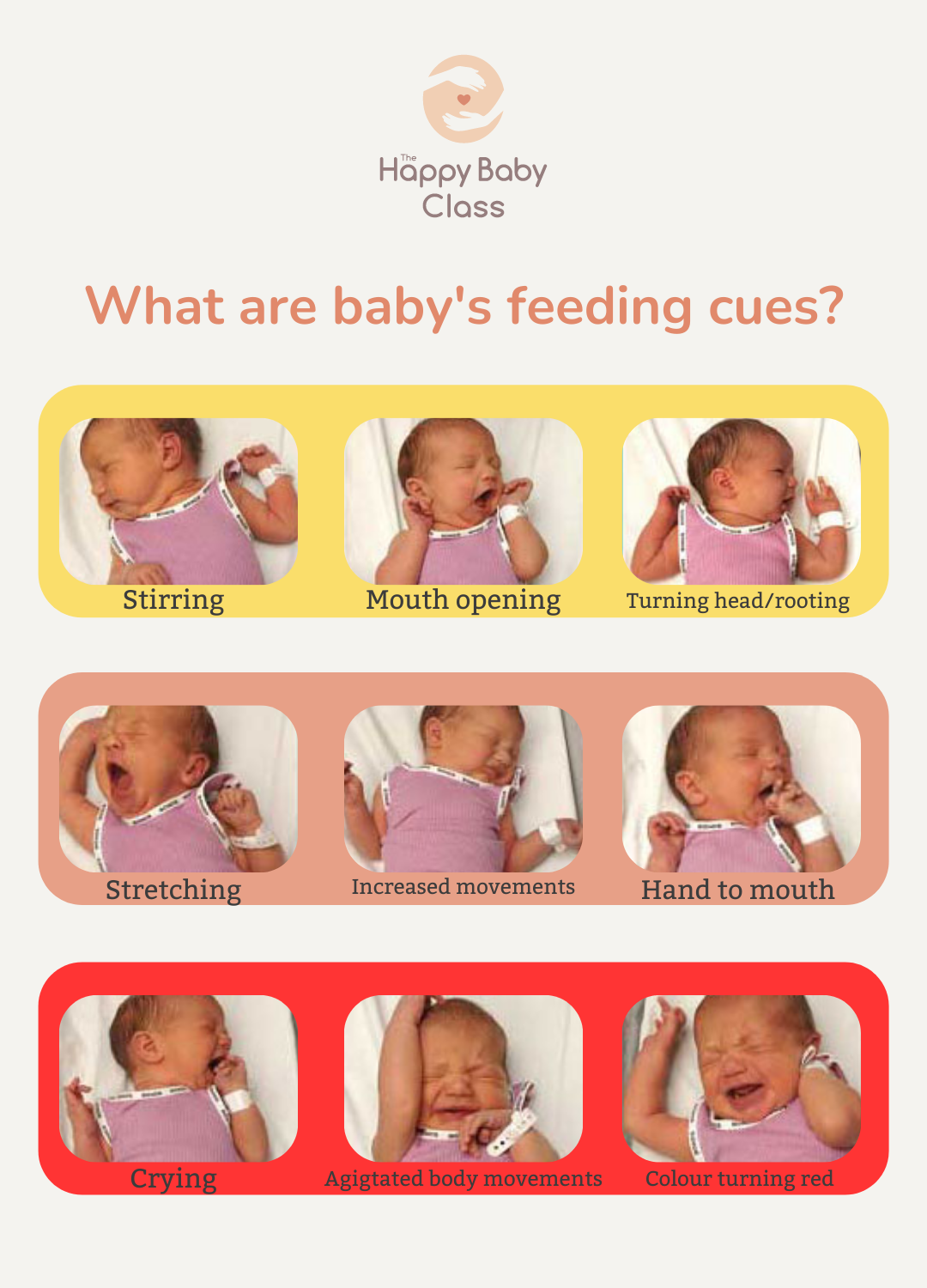 what-are-your-baby-s-hunger-cues-the-happy-baby-class-ireland